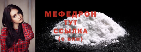 индика Елабуга