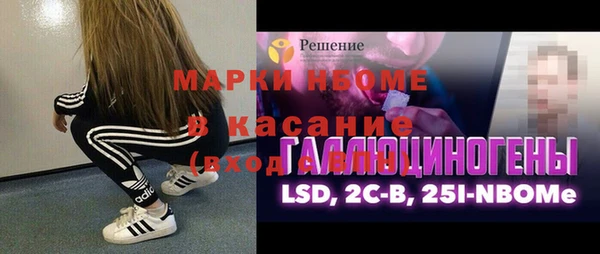 индика Елабуга