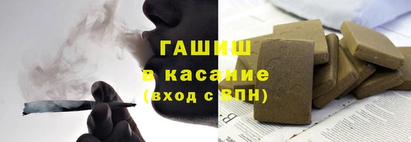 индика Елабуга