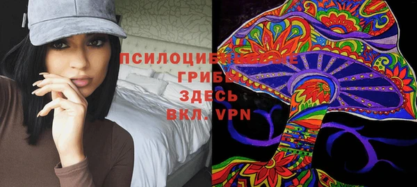 спайс Ельня