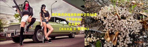 spice Елизово