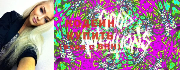 индика Елабуга