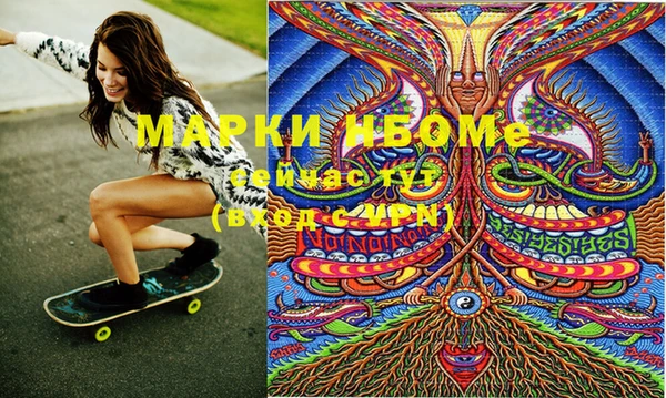 индика Елабуга