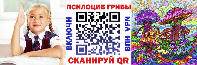 Купить где  Моршанск  Псилоцибиновые грибы Psilocybine cubensis 